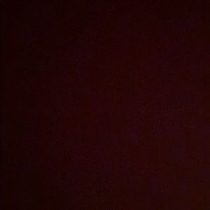 Meet your Posher, Oscar